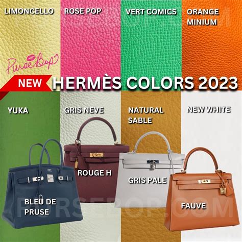 best hermes kelly color|hermes handbags color chart.